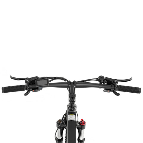 Foride Xtremer 2 Mountain Electric Bike
