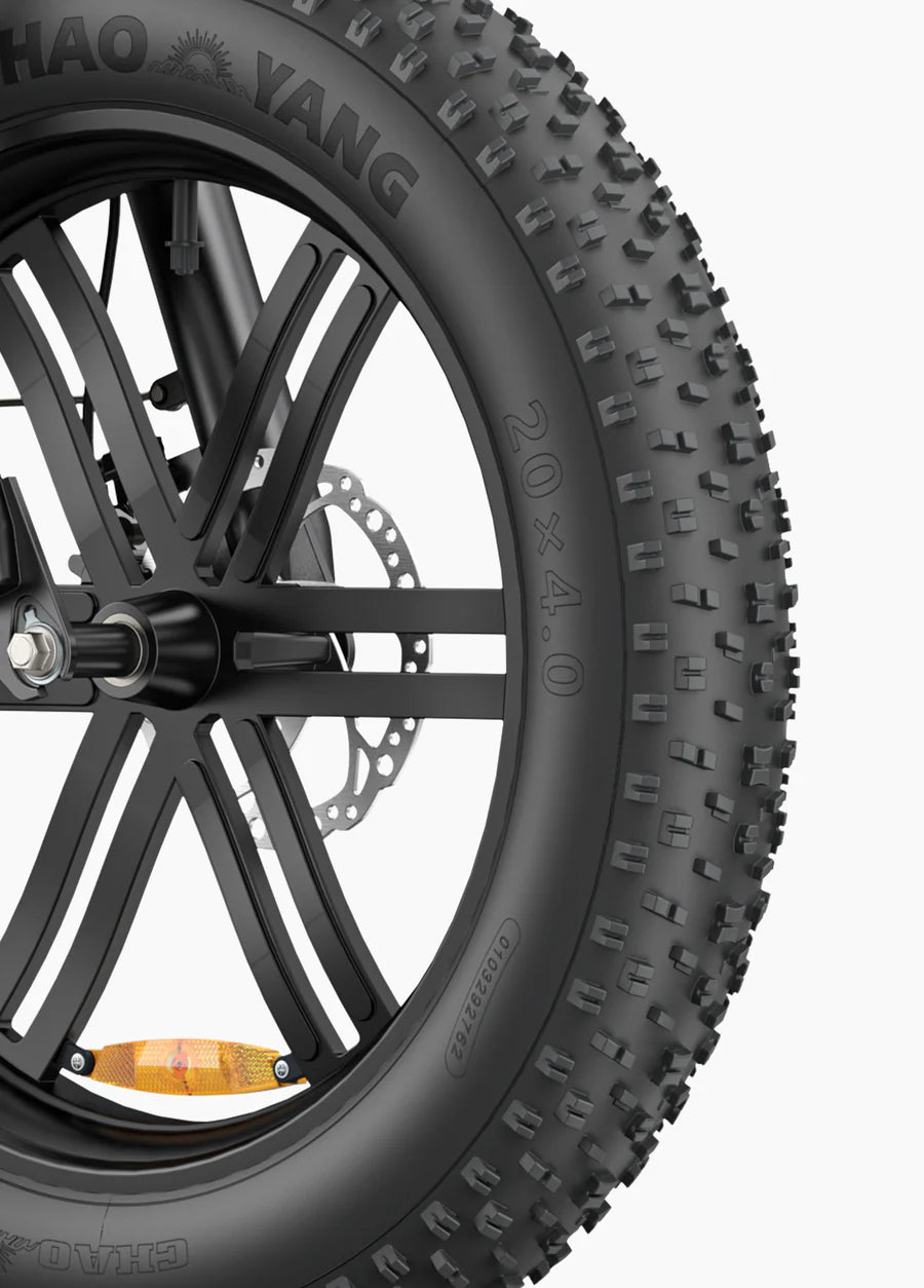 Engwe L20 Boost 250W 126KM Range Torque Sensor Electric Fat Bike with a Boost Button