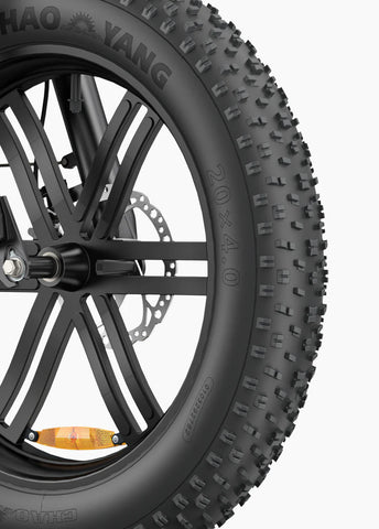 Engwe L20 Boost 250W 126KM Range Torque Sensor Electric Fat Bike with a Boost Button