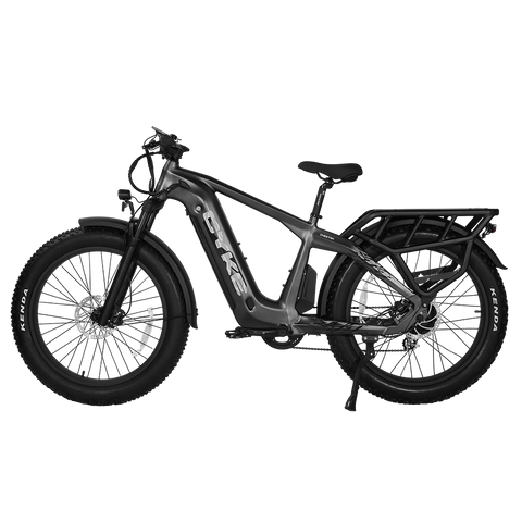 Cyke Family Series Cheetah Hunting Electric Bike