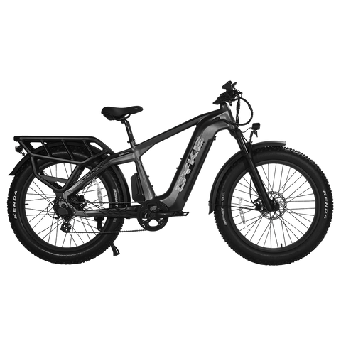 Cyke Family Series Cheetah Hunting Electric Bike