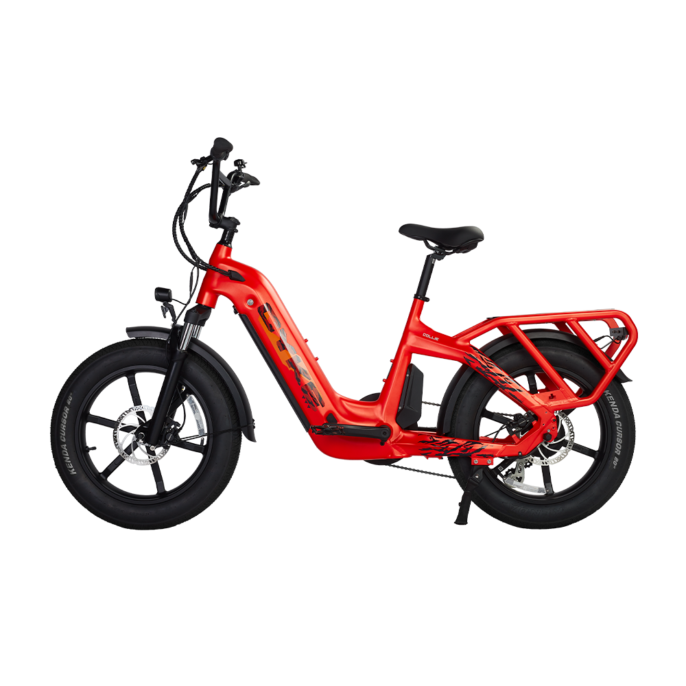 Cyke Family Series Collie Cargo Electric Bike