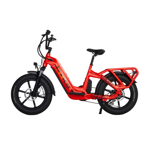Cyke Family Series Collie Cargo Electric Bike
