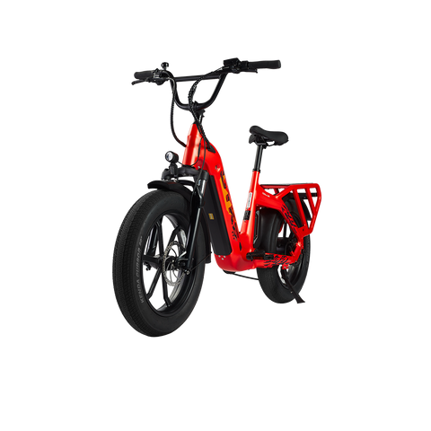 Cyke Family Series Collie Cargo Electric Bike