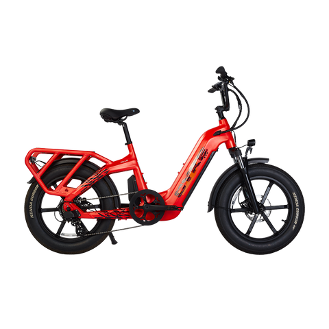 Cyke Family Series Collie Cargo Electric Bike