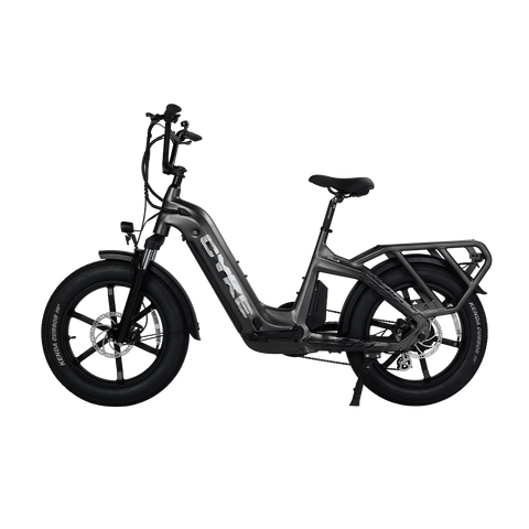 Cyke Family Series Collie Cargo Electric Bike