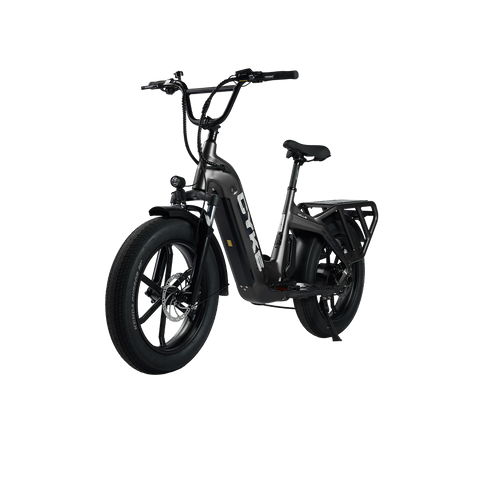 Cyke Family Series Collie Cargo Electric Bike
