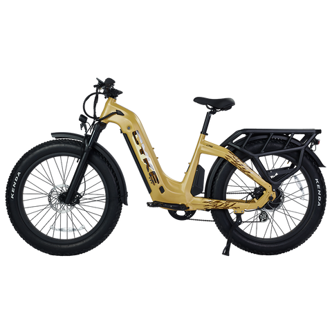 Cyke Family Series Lynx Commuter Electric bike
