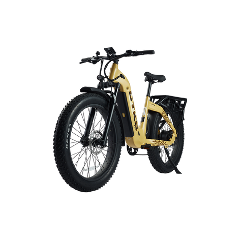 Cyke Family Series Lynx Commuter Electric bike