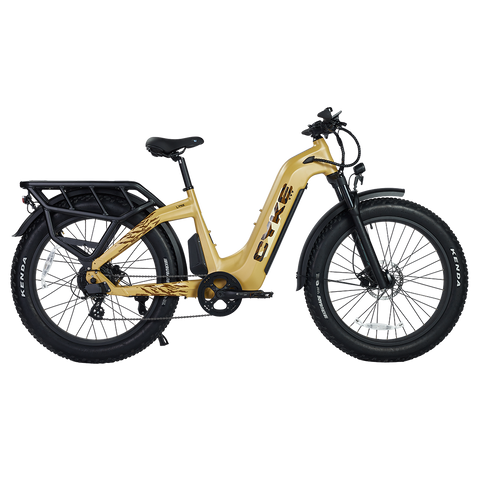 Cyke Family Series Lynx Commuter Electric bike