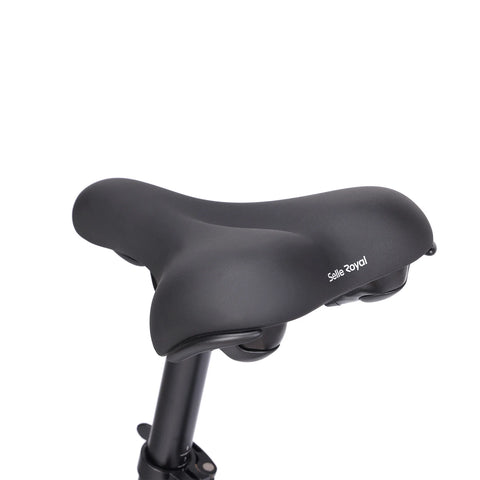 Eleglide C1 ST Trekking E-Bike