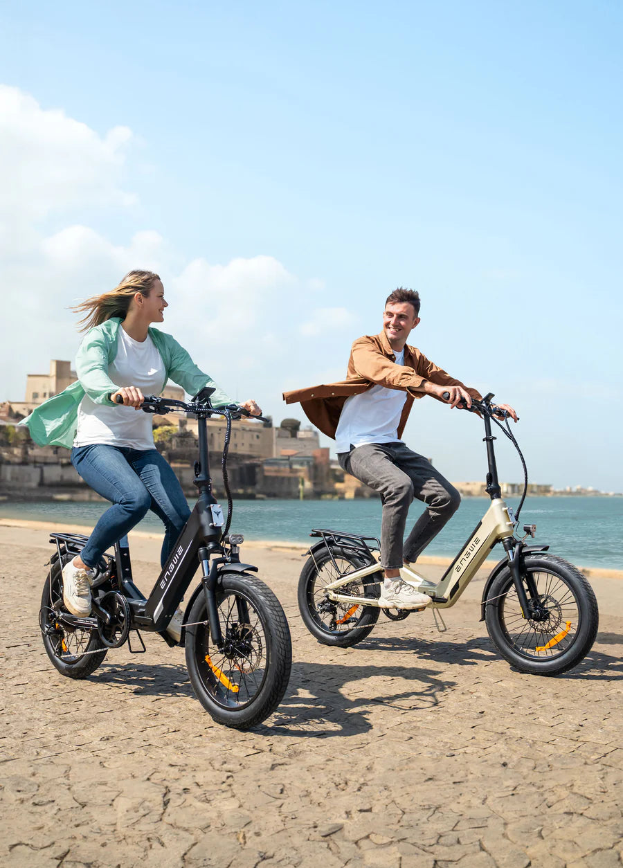 Engwe L20 3.0 Boost 250W 75Nm Boost Power Full Suspension Compact E-Bike