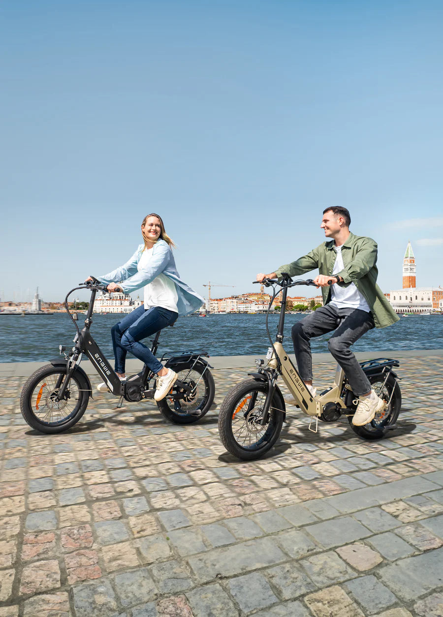 Engwe L20 3.0 Pro 250W 100Nm Mid-drive Motor Full Suspension Compact E-Bike