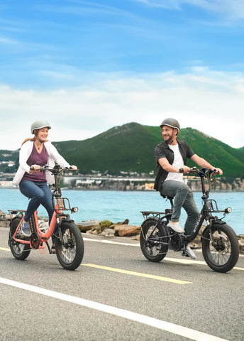 ENGWE L20 2.0 Step-Thru Utility E-Bike