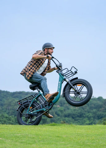 Engwe L20 Boost 250W 126KM Range Torque Sensor Electric Fat Bike with a Boost Button