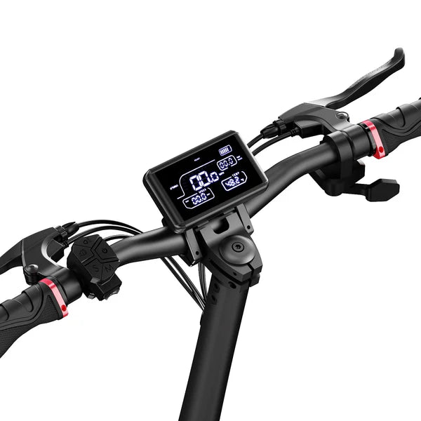 Circooter Raptor 1250W Motor Off-road E-Scooter