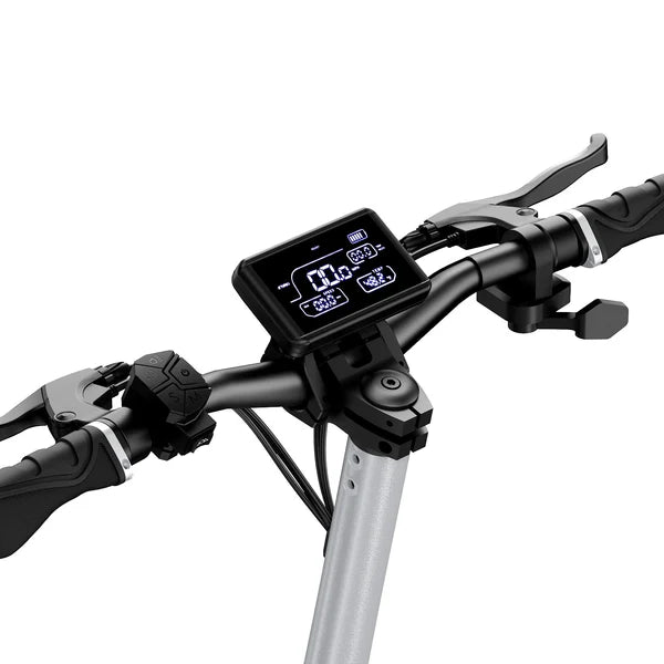 Circooter Raptor Pro 1600W Dual Motor Off-Road E-Scooter
