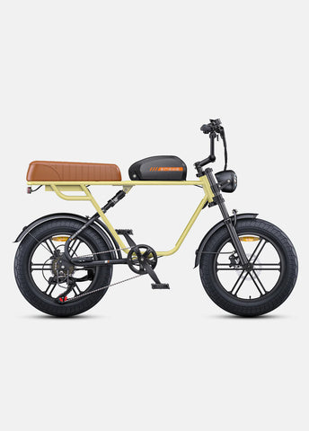 Engwe M1 EU-Standard 65Nm Torque Motorcycle-styled E-Bike