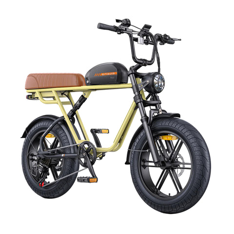Engwe M1 EU-Standard 65Nm Torque Motorcycle-styled E-Bike