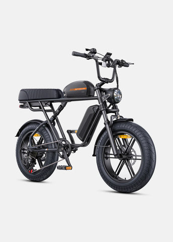 Engwe M1 EU-Standard 65Nm Torque Motorcycle-styled E-Bike