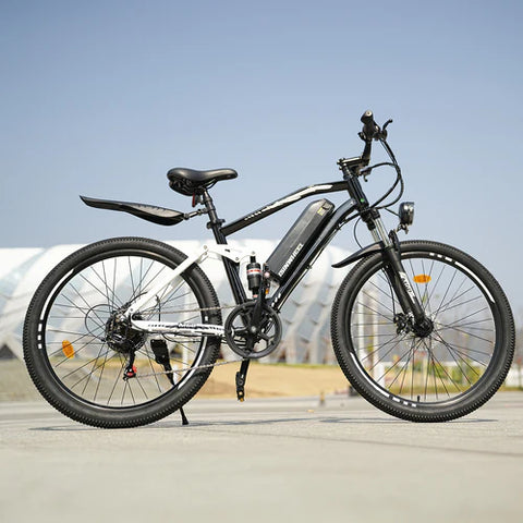 isinwheel M50 Mountain Electric Bike