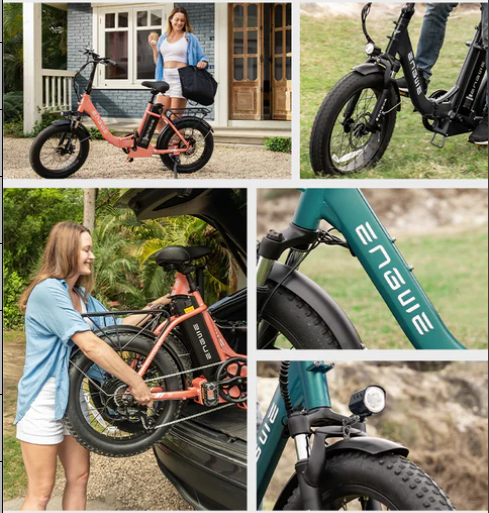 ENGWE L20 2.0 Step-Thru Utility E-Bike