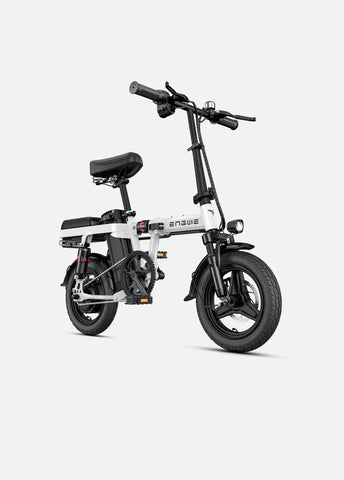 Engwe T14 250W Hub Motor Multiple Suspension Folding Electric Mini Bike