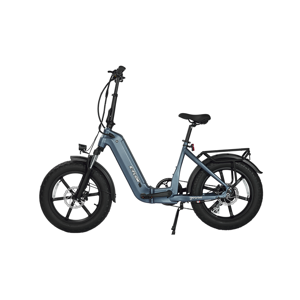 Young Electric E-Flow Foldable Electric Bike