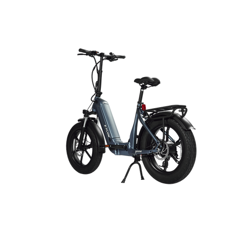 Young Electric E-Flow Foldable Electric Bike
