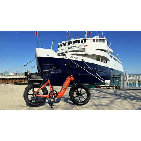 Young Electric E-Flow Foldable Electric Bike