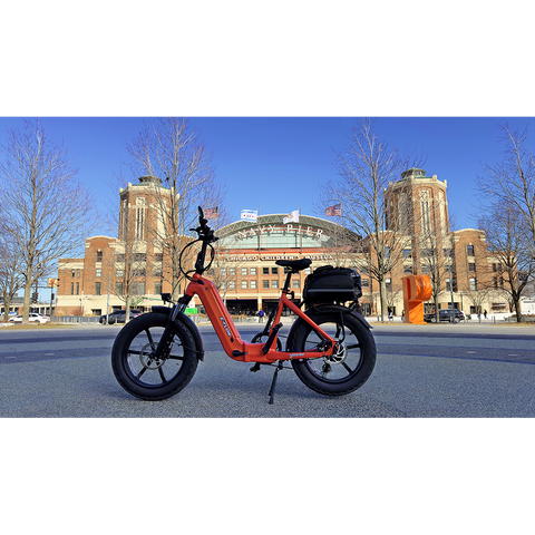 Young Electric E-Flow Foldable Electric Bike