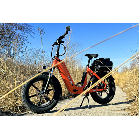 Young Electric E-Flow Foldable Electric Bike