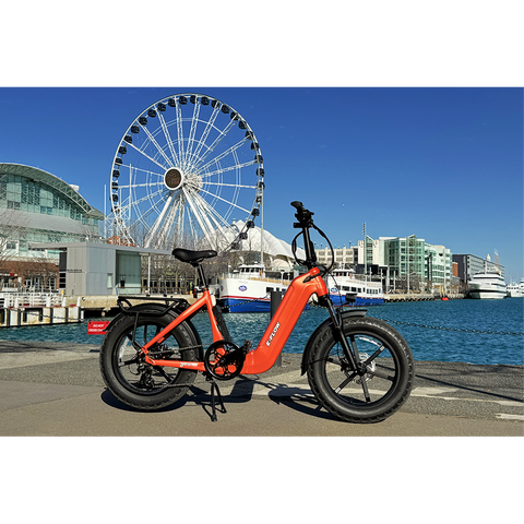 Young Electric E-Flow Foldable Electric Bike
