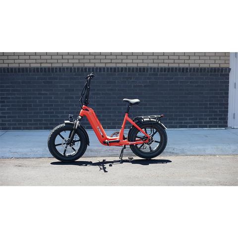 Young Electric E-Flow Foldable Electric Bike