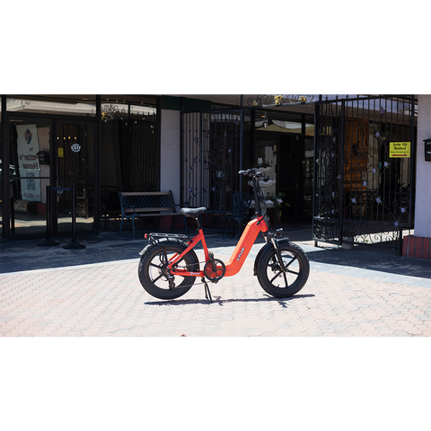 Young Electric E-Flow Foldable Electric Bike