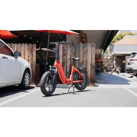 Young Electric E-Flow Foldable Electric Bike