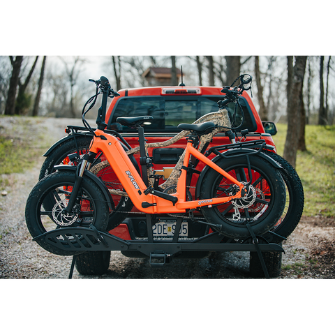 Young Electric E-Flow Foldable Electric Bike