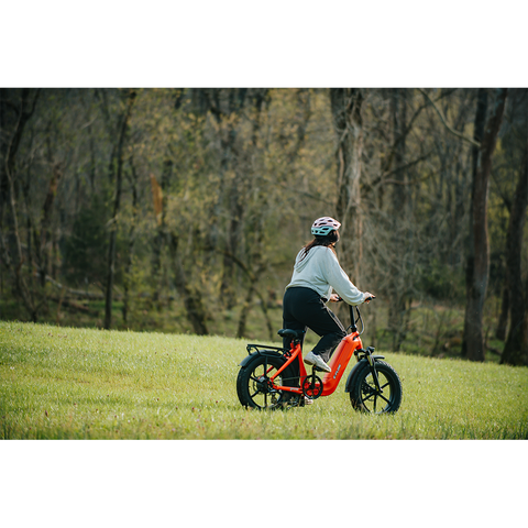 Young Electric E-Flow Foldable Electric Bike