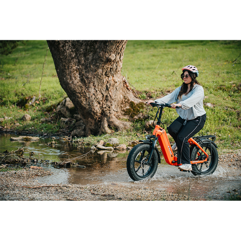 Young Electric E-Flow Foldable Electric Bike