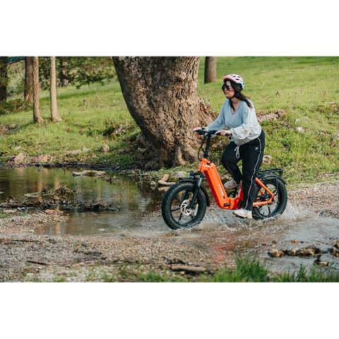 Young Electric E-Flow Foldable Electric Bike