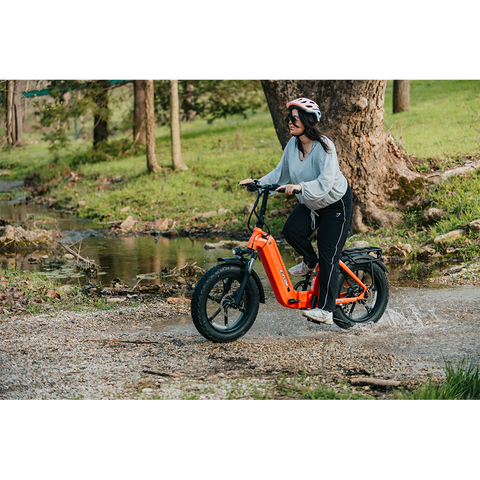 Young Electric E-Flow Foldable Electric Bike