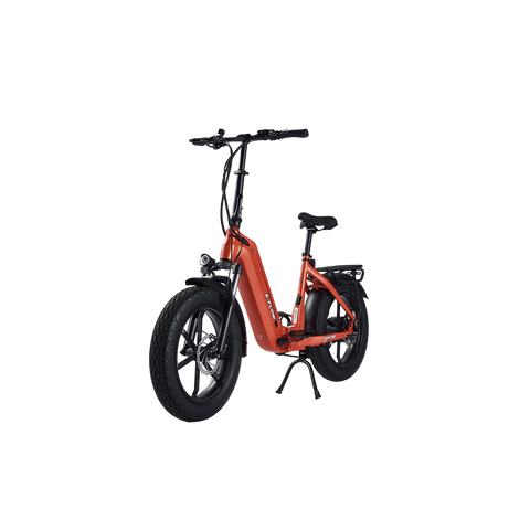 Young Electric E-Flow Foldable Electric Bike