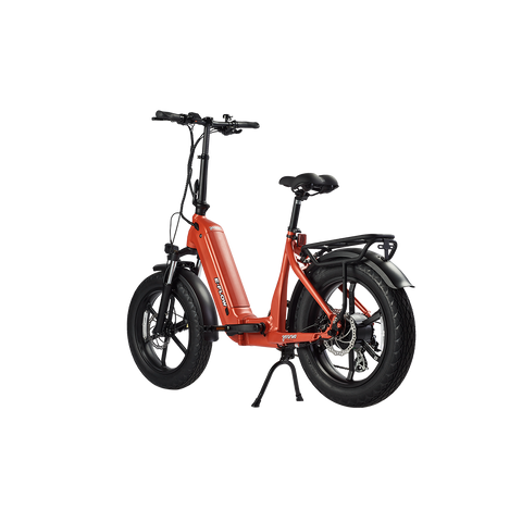 Young Electric E-Flow Foldable Electric Bike