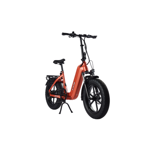 Young Electric E-Flow Foldable Electric Bike