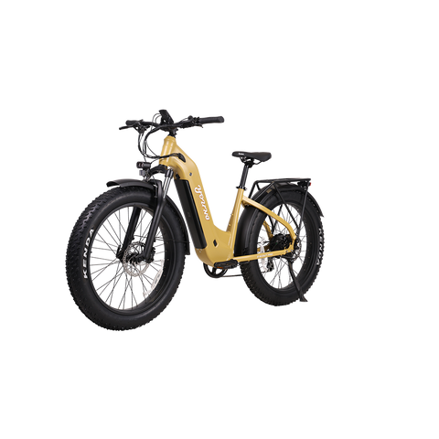 Young Electric E-Scout Pro Hunting Ebike Peak 1500W, Electric Bike for Adults