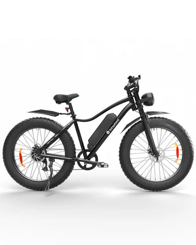 isinwheel M10Plus Electric Bike