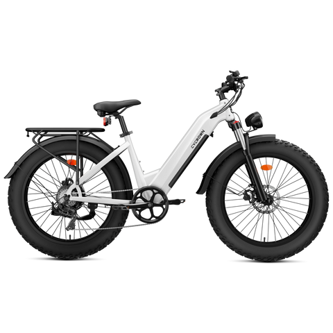 Cycrown CycVerve Fat Tire Ebike